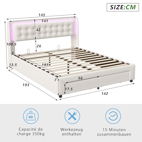 FEEOHOME Lit Double rembourré, Multifonction avec Espace de Rangement pour Adulte Adolescent, LED et Velours