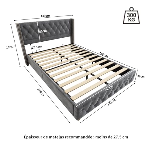 Lit PUGSDRLY Double Gris pour Enfant Adolescent Adulte avec Sommier à Lattes-et Pieds en Bois